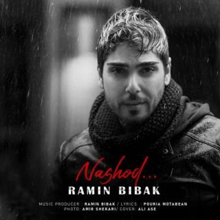 کاور آهنگ نشد از رامین بیباک