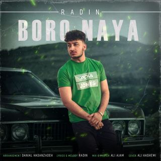 کاور آهنگ برو نیا از رادین