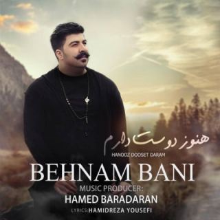 کاور آهنگ هنوز دوست دارم از بهنام بانی