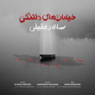 کاور آهنگ خیابانهای دلتنگی از سالار عقیلی