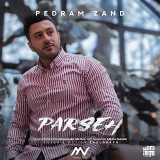 کاور آهنگ پرسه از پدرام زند
