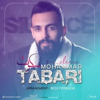 کاور آهنگ سکوت از محمد طبری