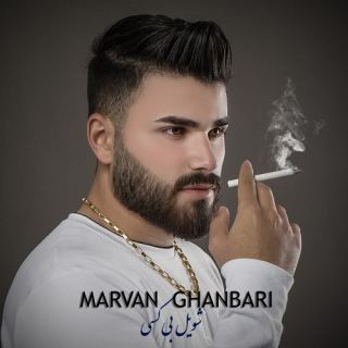 کاور آهنگ شویل بی کسی از مروان قنبری