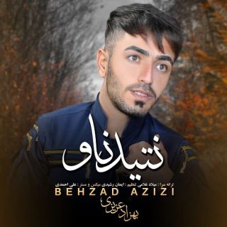 کاور آهنگ نتید ناو از بهزاد عزیزی