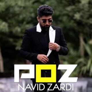 کاور آهنگ پز از نوید زردی
