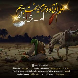 کاور آهنگ علم افتاد و حرم ریخت به هم از امین فیاض